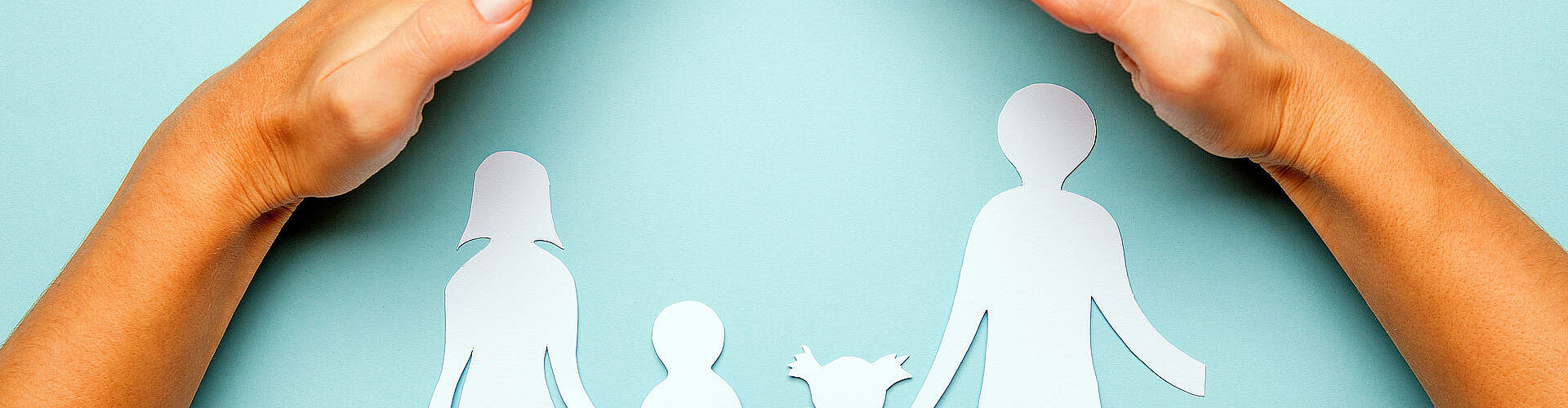 Agrandir l'image (fenêtre modale)