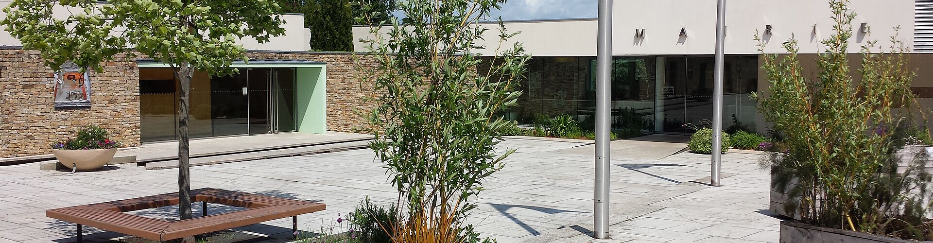 Agrandir l'image (fenêtre modale)