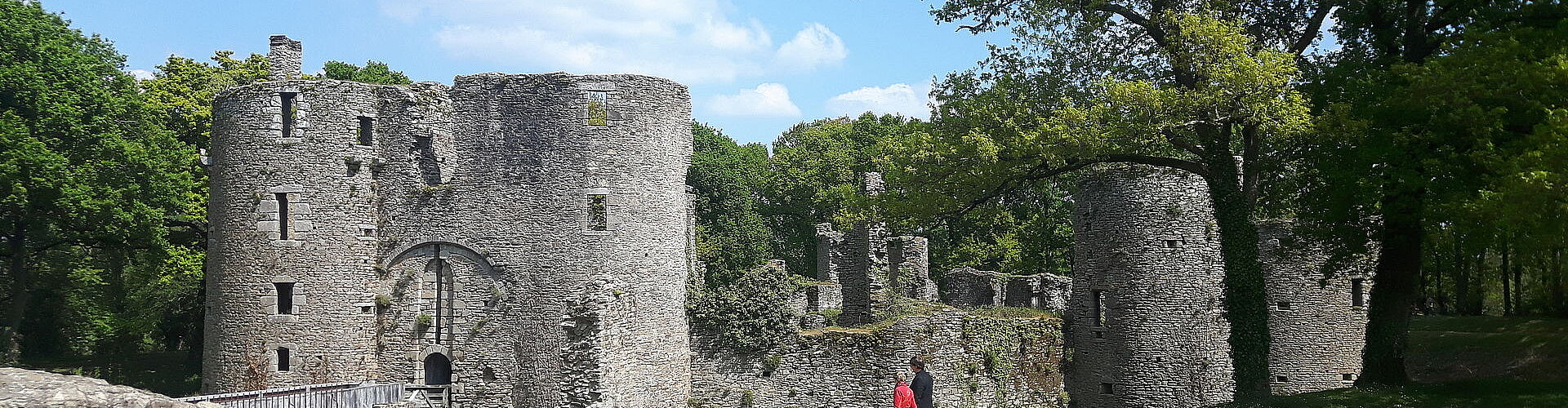 Agrandir l'image (fenêtre modale)