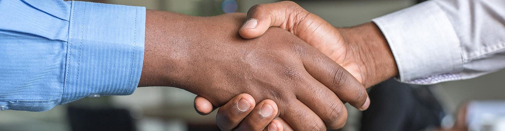 Agrandir l'image (fenêtre modale)