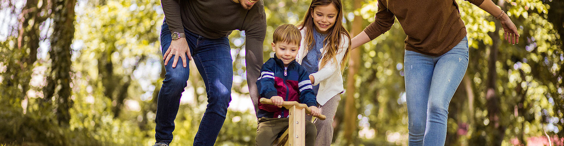 Agrandir l'image (fenêtre modale)