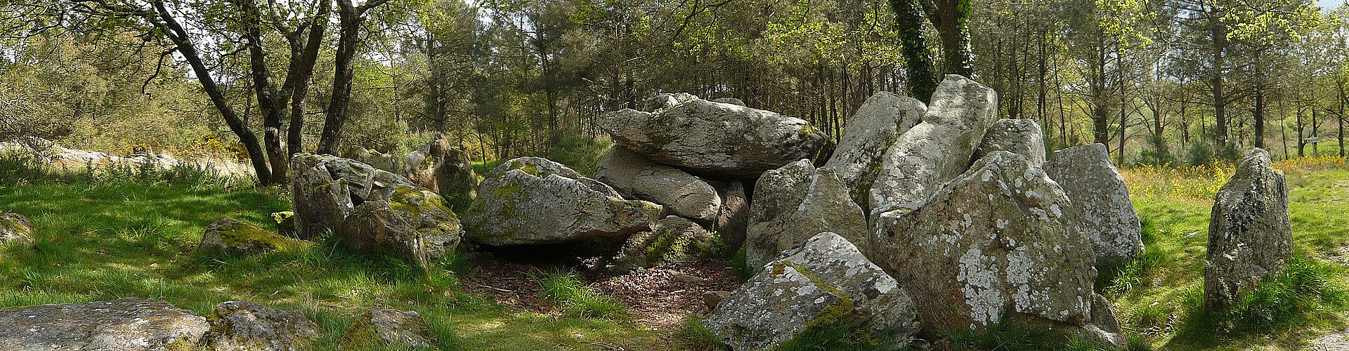 Agrandir l'image (fenêtre modale)
